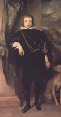 Anthony Van Dyck Portrait of prince rupert standing (mk03) Spain oil painting art